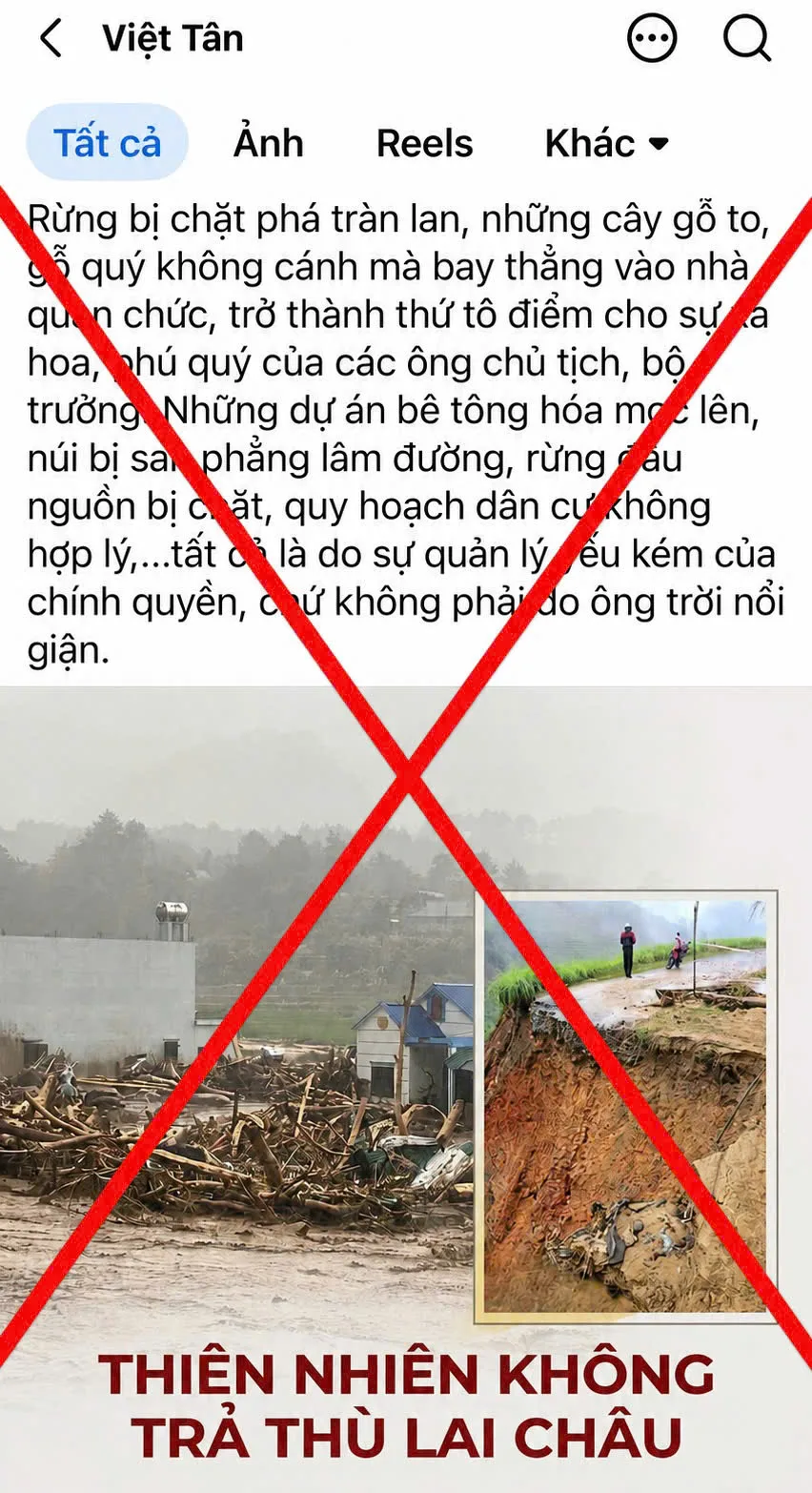 Vit tan.jpg